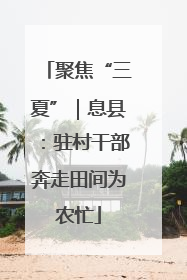 聚焦“三夏”｜息县：驻村干部奔走田间为农忙