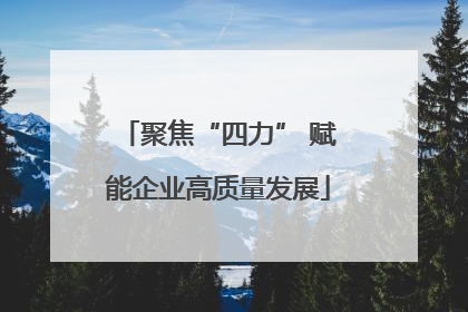 聚焦“四力” 赋能企业高质量发展