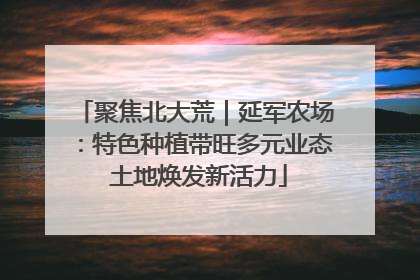 聚焦北大荒｜延军农场：特色种植带旺多元业态 土地焕发新活力