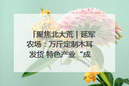 聚焦北大荒｜延军农场：万斤定制木耳发货 特色产业“成绩单”亮眼