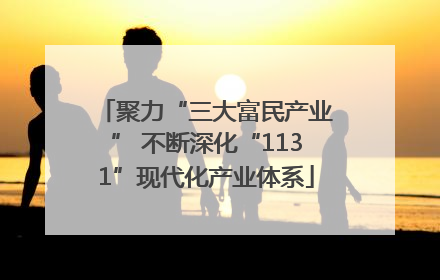 聚力“三大富民产业” 不断深化“1131”现代化产业体系