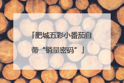 肥城五彩小番茄自带“销量密码”