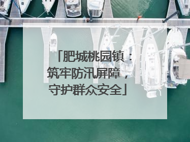 肥城桃园镇：筑牢防汛屏障，守护群众安全