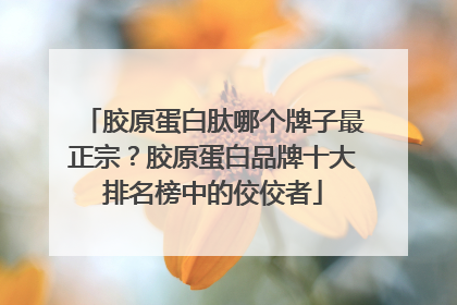胶原蛋白肽哪个牌子最正宗？胶原蛋白品牌十大排名榜中的佼佼者