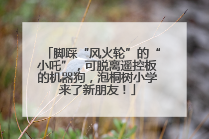 脚踩“风火轮”的“小吒”，可脱离遥控板的机器狗，泡桐树小学来了新朋友！