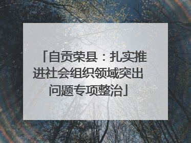 自贡荣县：扎实推进社会组织领域突出问题专项整治
