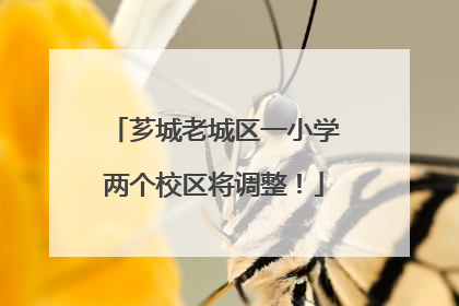 芗城老城区一小学两个校区将调整！