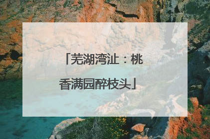 芜湖湾沚：桃香满园醉枝头