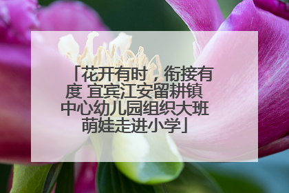 花开有时，衔接有度 宜宾江安留耕镇中心幼儿园组织大班萌娃走进小学