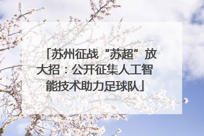 苏州征战“苏超”放大招：公开征集人工智能技术助力足球队