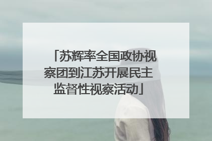 苏辉率全国政协视察团到江苏开展民主监督性视察活动