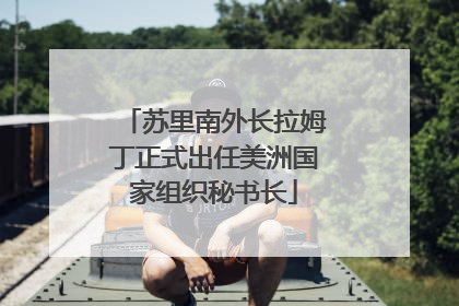 苏里南外长拉姆丁正式出任美洲国家组织秘书长