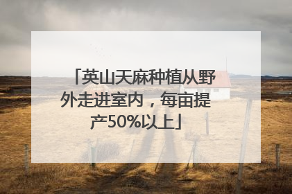 英山天麻种植从野外走进室内，每亩提产50%以上