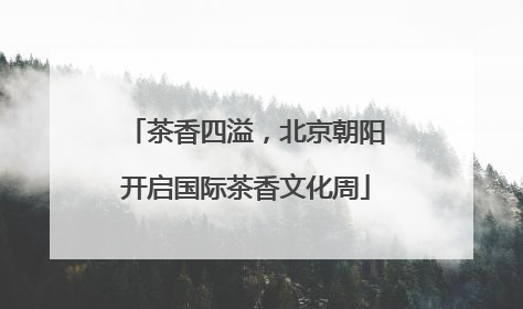 茶香四溢，北京朝阳开启国际茶香文化周