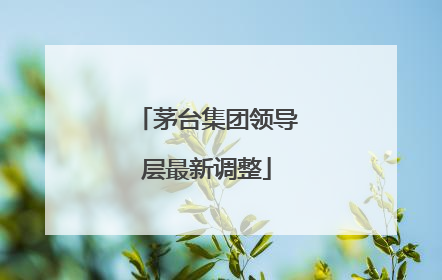 茅台集团领导层最新调整