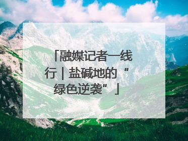 融媒记者一线行｜盐碱地的“绿色逆袭”