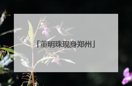 董明珠现身郑州