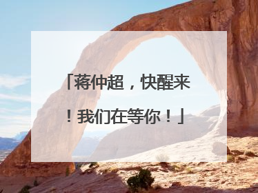 蒋仲超，快醒来！我们在等你！