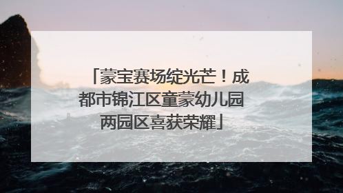蒙宝赛场绽光芒！成都市锦江区童蒙幼儿园两园区喜获荣耀