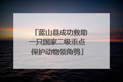 蓝山县成功救助一只国家二级重点保护动物领角鸮