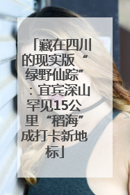 藏在四川的现实版“绿野仙踪”：宜宾深山罕见15公里“稻海”成打卡新地标