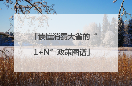 读懂消费大省的“1+N”政策图谱