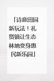 诗意田园新玩法！礼贤镇让生态林地变身惠民新乐园
