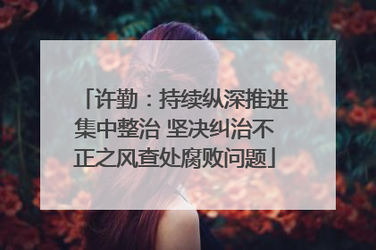 许勤：持续纵深推进集中整治 坚决纠治不正之风查处腐败问题
