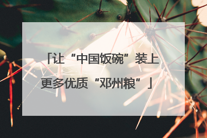 让“中国饭碗”装上更多优质“邓州粮”