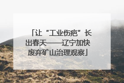 让“工业伤疤”长出春天——辽宁加快废弃矿山治理观察