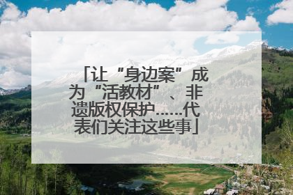 让“身边案”成为“活教材”、非遗版权保护……代表们关注这些事