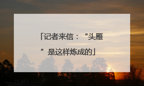记者来信：“头雁”是这样炼成的