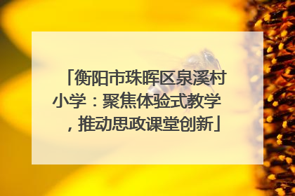 衡阳市珠晖区泉溪村小学：聚焦体验式教学，推动思政课堂创新