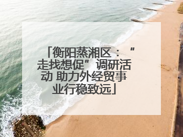 衡阳蒸湘区：“走找想促”调研活动 助力外经贸事业行稳致远