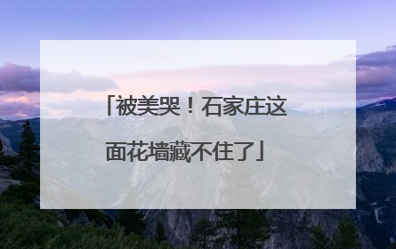 被美哭！石家庄这面花墙藏不住了
