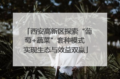 西安高新区探索“葡萄+蔬菜”套种模式 实现生态与效益双赢