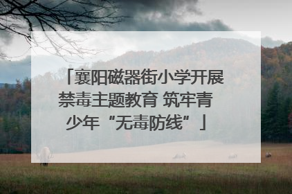 襄阳磁器街小学开展禁毒主题教育 筑牢青少年“无毒防线”