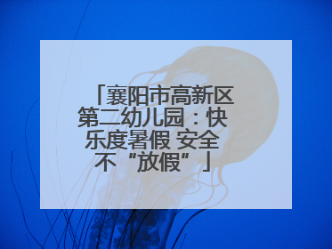 襄阳市高新区第二幼儿园：快乐度暑假 安全不“放假”