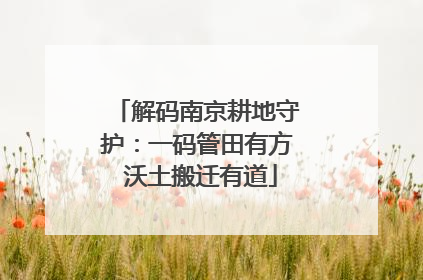 解码南京耕地守护：一码管田有方 沃土搬迁有道