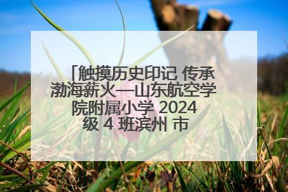 触摸历史印记 传承渤海薪火—山东航空学院附属小学 2024 级 4 班滨州 市档案馆研学实践活动