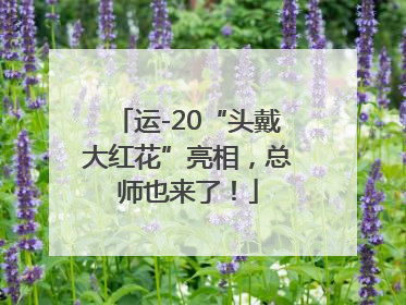 运-20“头戴大红花”亮相，总师也来了！