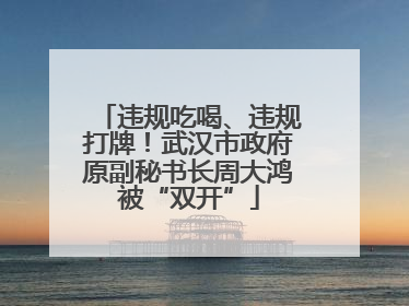 违规吃喝、违规打牌！武汉市政府原副秘书长周大鸿被“双开”