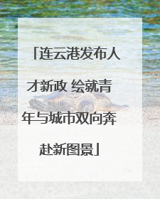 连云港发布人才新政 绘就青年与城市双向奔赴新图景