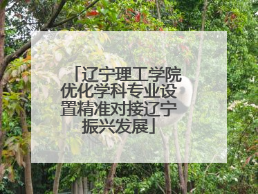 辽宁理工学院优化学科专业设置精准对接辽宁振兴发展