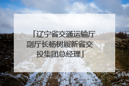 辽宁省交通运输厅副厅长杨树履新省交投集团总经理