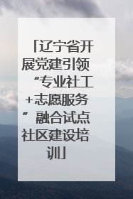 辽宁省开展党建引领“专业社工+志愿服务”融合试点社区建设培训