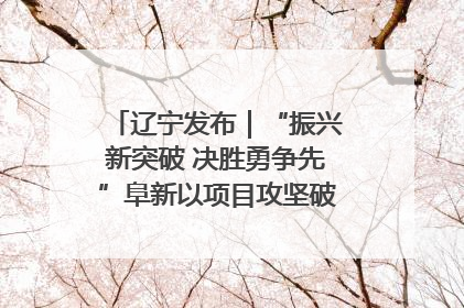 辽宁发布｜“振兴新突破 决胜勇争先”阜新以项目攻坚破解发展瓶颈 经济发展实现良好开局