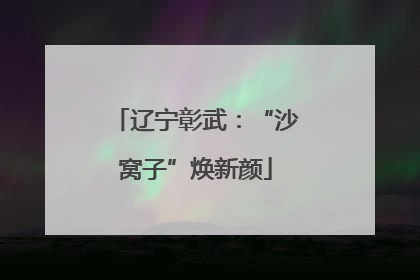 辽宁彰武：“沙窝子”焕新颜
