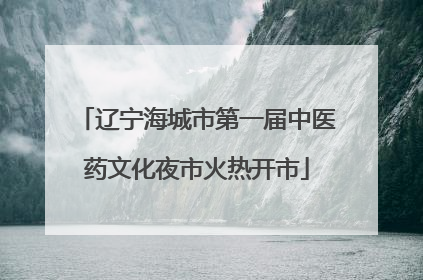 辽宁海城市第一届中医药文化夜市火热开市