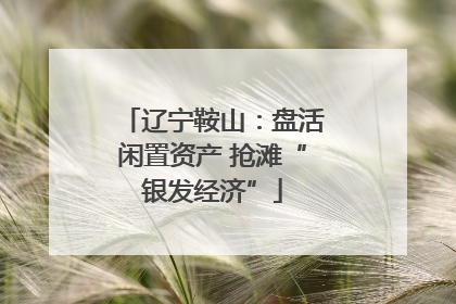 辽宁鞍山：盘活闲置资产 抢滩“银发经济”